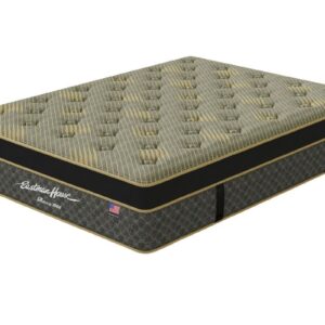 REVIVA-II-EURO-P_T-ANGLE-SILO - Reviva Pillowtop