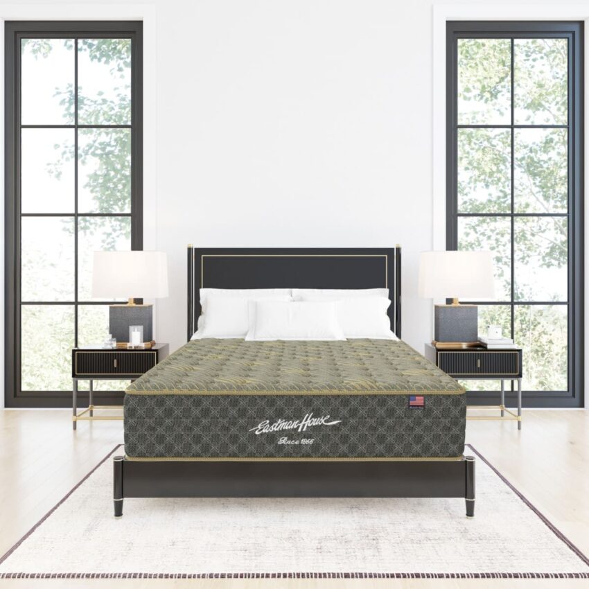 REVIVA-II-LUX-FIRM-ROOM-VIEW-EH