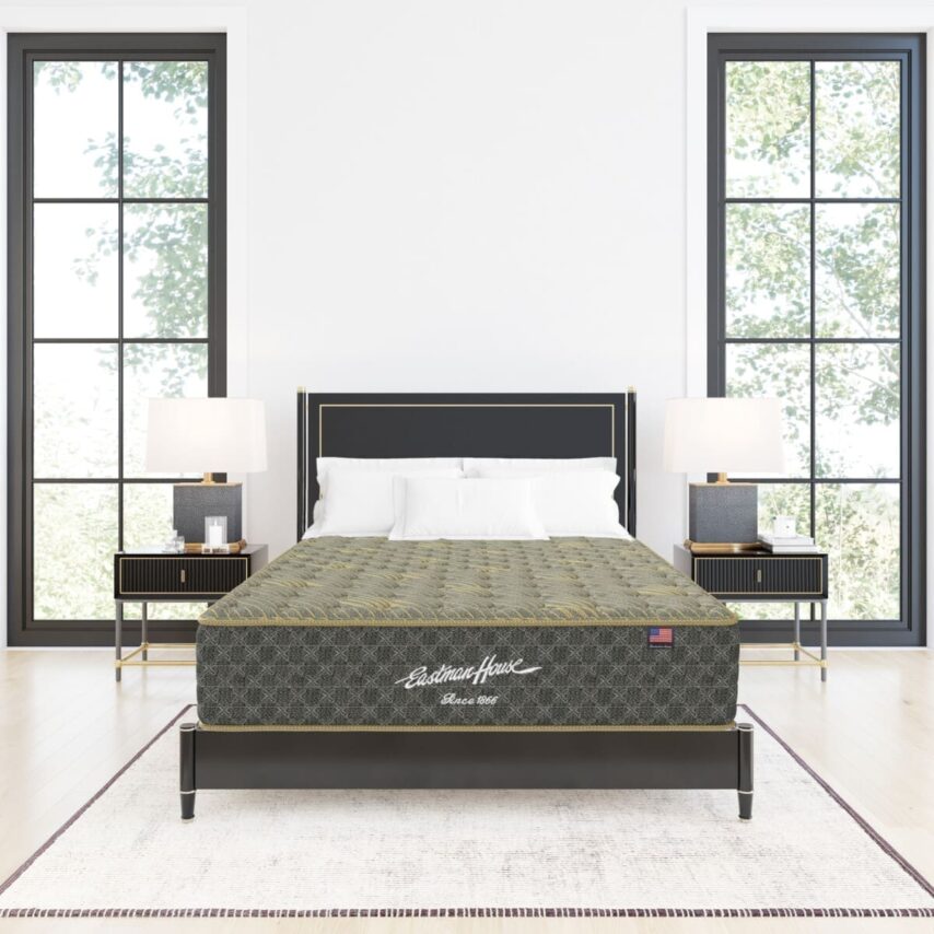 REVIVA-II-LUX-FIRM-ROOM-VIEW-EH