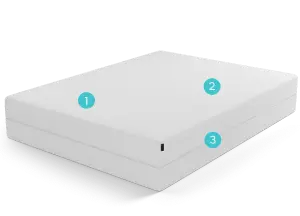 Mattress Protector